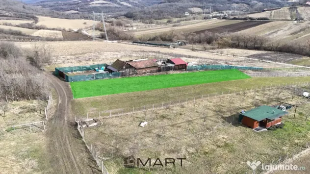 Teren intravilan 1000mp strada Salcamilor Gusterita - Sibiu (Sibiu)