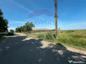 Teren 11404 m2 , Biharia la 1km de autostrada A3 si 300m de centura 