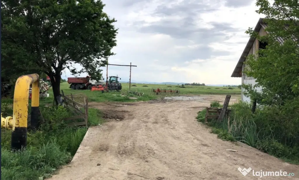 Teren 7100mp langa complexul Magnolia - Sibiu (Sibiu)