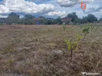 Teren intravilan de 1493 mp cu utilitati - Ianova