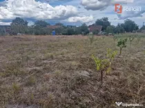 Teren intravilan de 1493 mp cu utilitati - Ianova