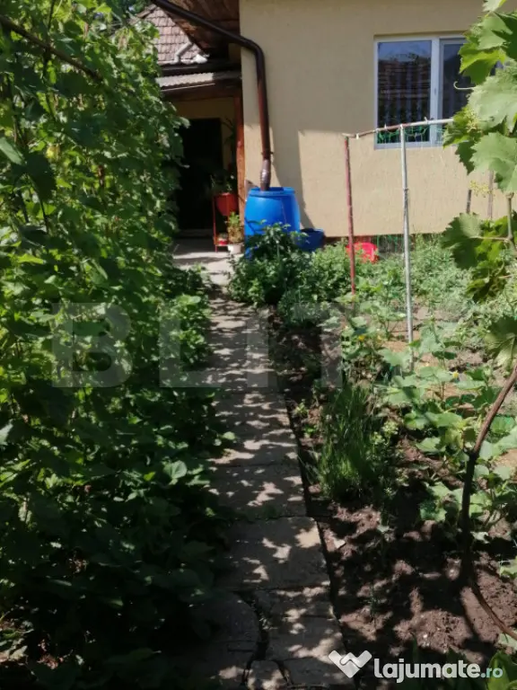 Casă individuală, zona Libertății - Targu Mures (Mures)