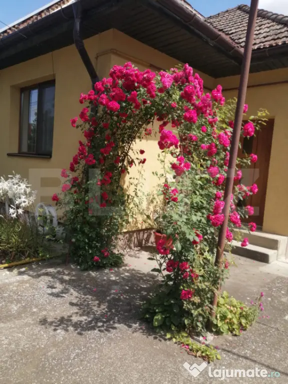 Casă individuală, zona Libertății - Targu Mures (Mures)