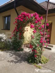 Casă individuală, zona Libertății 