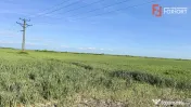 Teren intravilan de vanzare cu toate utilitatile - Bucovat 