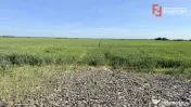 Teren intravilan de vanzare cu toate utilitatile - Bucovat 