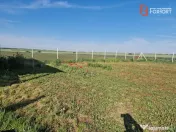Teren extravilan de 3500 mp de vanzare in Remetea Mare 