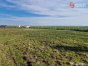 Teren extravilan de 3500 mp de vanzare in Remetea Mare 