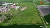 Teren intravilan cu suprafata de 58.340 mp, in Sanmartinul S 