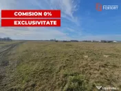 COMISION 0% Teren intravilan 6400 mp la drum asfaltat - Padu