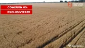 COMISION 0% Teren de vanzare intravilan de 24.700 mp - Padur