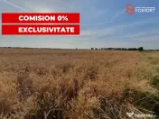 COMISION 0% Teren de vanzare intravilan de 24.700 mp - Padur