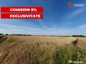 COMISION 0% Teren de vanzare intravilan de 24.700 mp - Padur