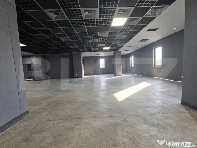 Spatiu comercial, 400 mp, SAD, zona Badea Cartan - Timisoara (Timis)