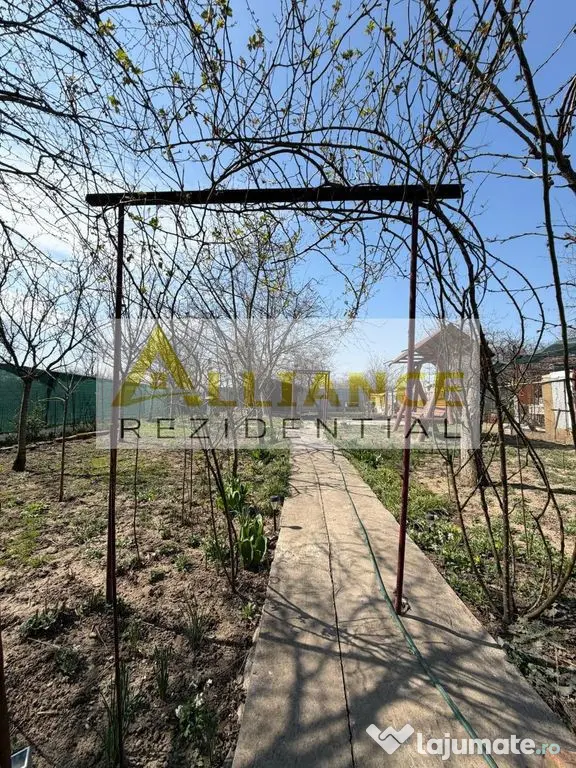 2 CASE | 754 MP TEREN | 10 MIN METROU ANGLHEL SALIGNY - Catelu (Bucuresti-Ilfov)