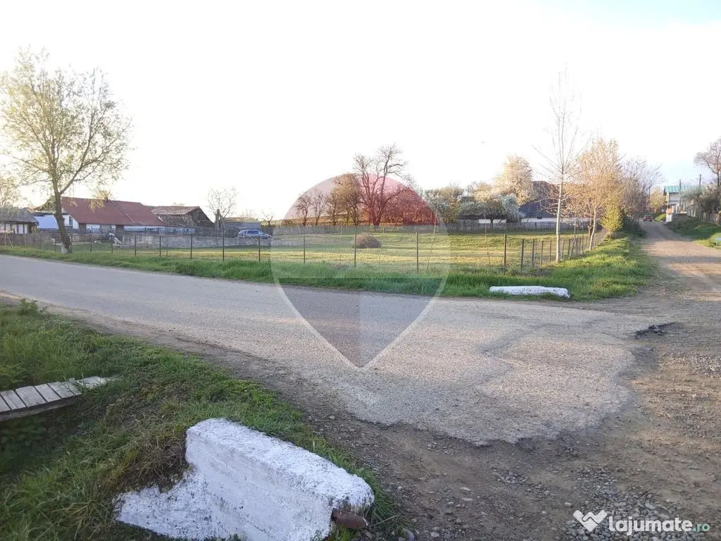 Teren 2,809mp Siliștea / Strada Principala - Silistea (Suceava)