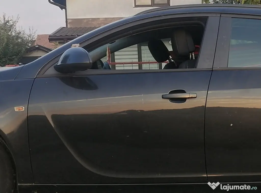usi fata Opel Insignia 100 lei