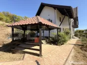 Casă P + M, 190 mp, 2421 mp teren cu foișor, Leamna de Jos