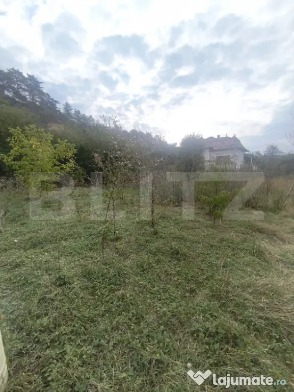 Casa de vanzare, 150 mp, zona Centru - Ocna Mures - Ocna Mures (Alba)