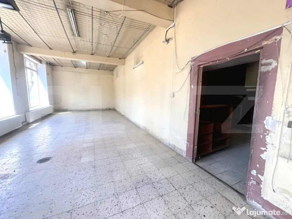 Sad de Inchiriat, Ultracentral, 278.41 - Timisoara (Timis)