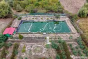 ???? Mai mult decât o casă: libertatea de a trăi aproape de natură 