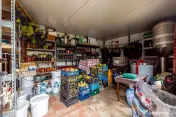 ???? Mai mult decât o casă: libertatea de a trăi aproape de natură 