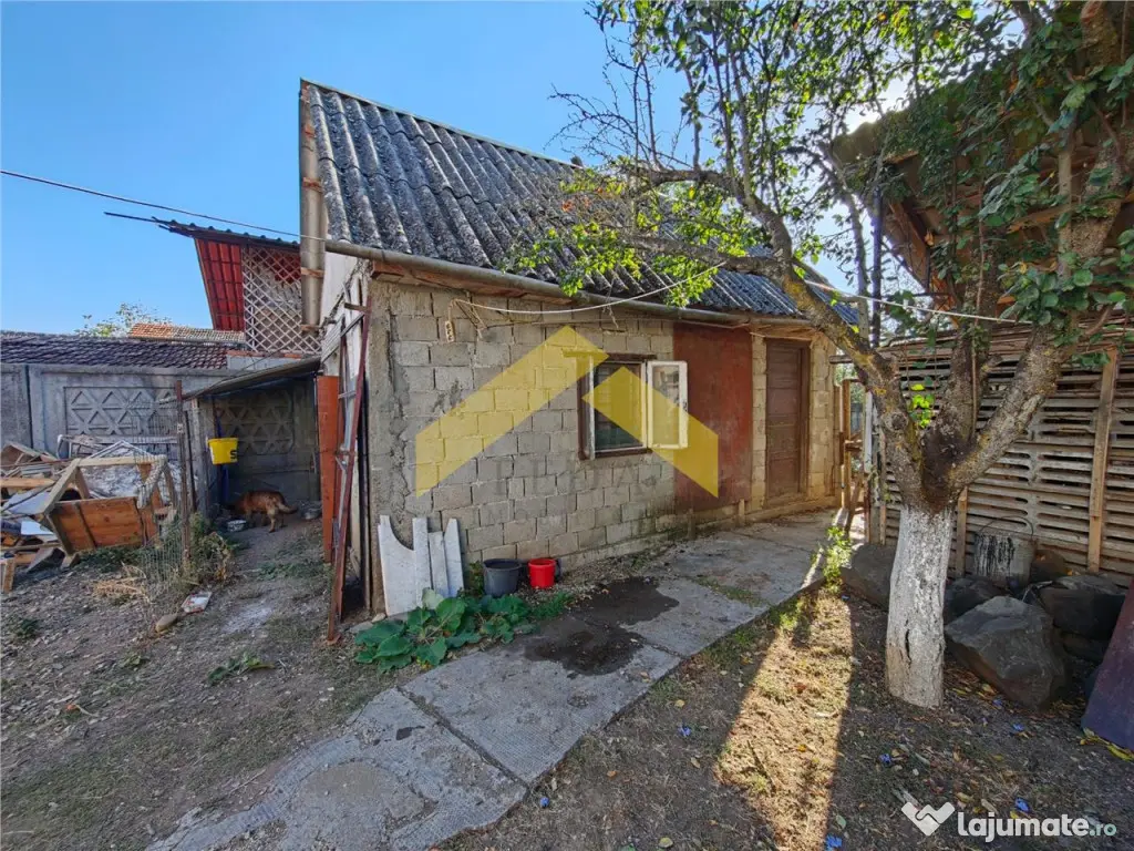 Casa la sol de in Bodrogu Nou - Bodrogu Nou (Arad)
