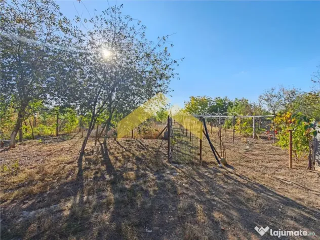 Casa la sol de in Bodrogu Nou - Bodrogu Nou (Arad)