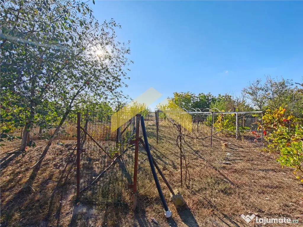 Casa la sol de in Bodrogu Nou - Bodrogu Nou (Arad)