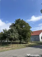 Teren - Plopi - Toate utilitatile str. asfaltata