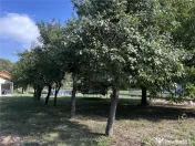Teren - Plopi - Toate utilitatile str. asfaltata