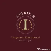 Simulare și evaluare la orice materie, înainte de meditații | 100 lei 