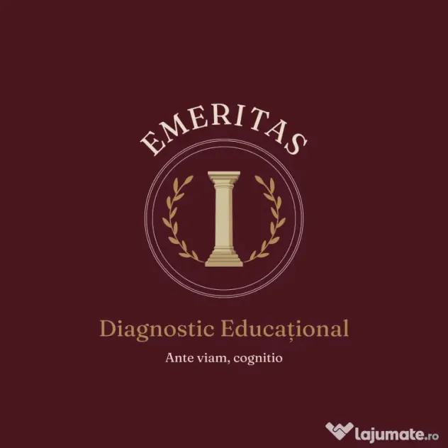 Simulare și evaluare la orice materie, înainte de meditații | 100 lei