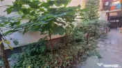 Apartament de 3 camere la casa zona Centrul Istoric 