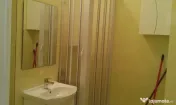 Dristor vitan lăcrămioarei 