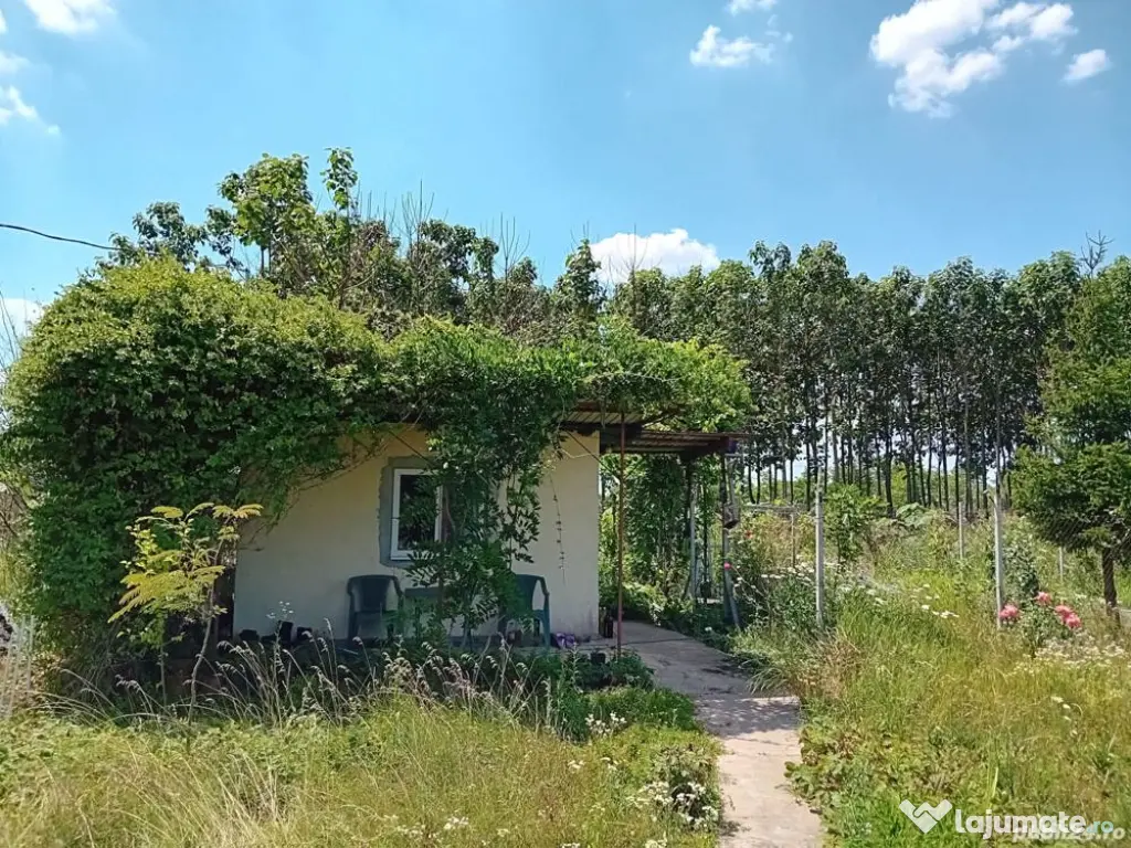 Vanzare Teren Intravilan Sat Hagiesti Ialomita, 29 km distanta de BUCURESTI