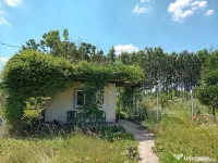 Vanzare Teren Intravilan Sat Hagiesti Ialomita, 29 km distanta de BUCURESTI