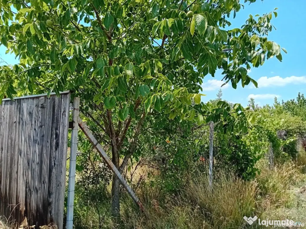 Vanzare Teren Intravilan Sat Hagiesti Ialomita, 29 km distanta de BUCURESTI