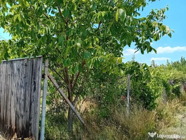 Vanzare Teren Intravilan Sat Hagiesti Ialomita, 29 km distanta de BUCURESTI