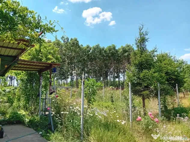 Vanzare Teren Intravilan Sat Hagiesti Ialomita, 29 km distanta de BUCURESTI