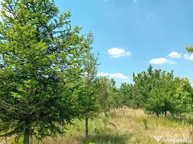 Vanzare Teren Intravilan Sat Hagiesti Ialomita, 29 km distanta de BUCURESTI