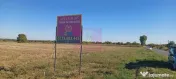 Teren intravilan 4500 mp, stradal intre Sabareni si Joita 