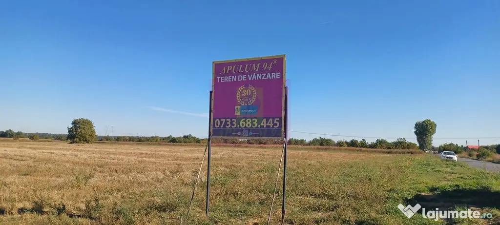 Teren intravilan 4500 mp, stradal intre Sabareni si Joita - Sabareni (Giurgiu)