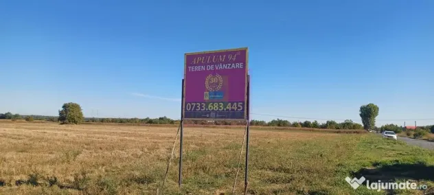 Teren intravilan 4500 mp, stradal intre Sabareni si Joita - Sabareni (Giurgiu)