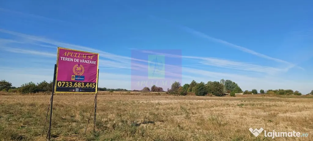 Teren intravilan 4500 mp, stradal intre Sabareni si Joita - Sabareni (Giurgiu)