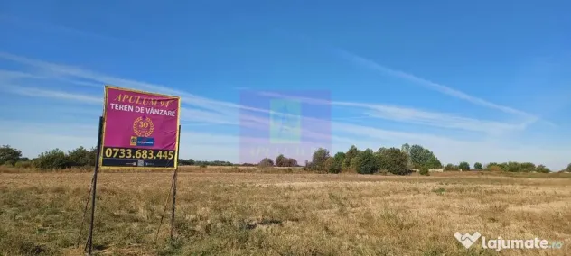 Teren intravilan 4500 mp, stradal intre Sabareni si Joita - Sabareni (Giurgiu)