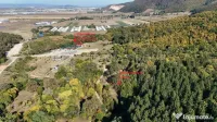 Aproape de Brașov, departe de agitație - Teren cu pădure în Cristian