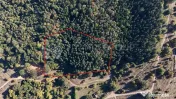Aproape de Brașov, departe de agitație - Teren cu pădure în Cristian 