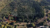 Aproape de Brașov, departe de agitație - Teren cu pădure în Cristian 