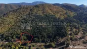 Aproape de Brașov, departe de agitație - Teren cu pădure în Cristian 